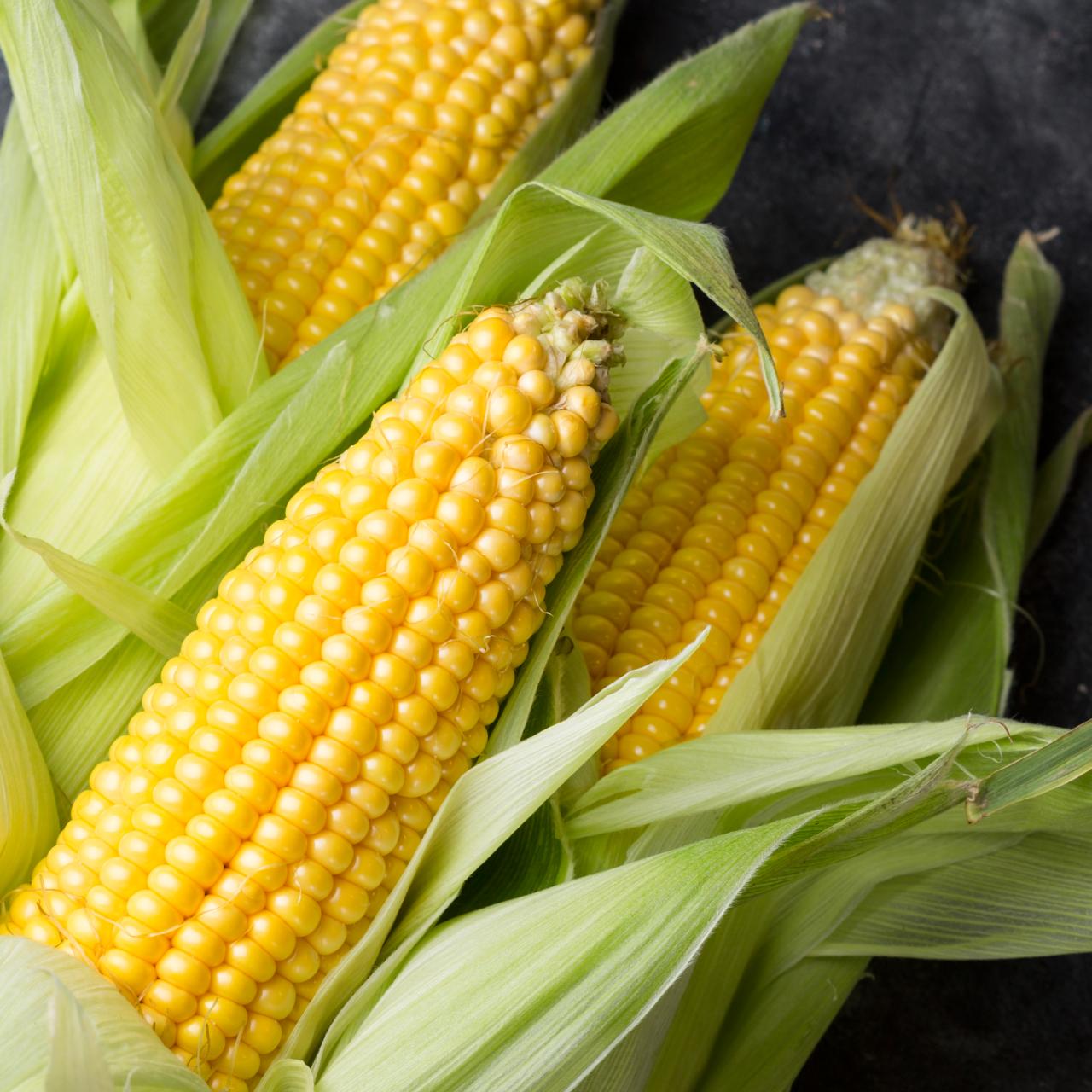 Corn Exporter in Nashik Maharashtra