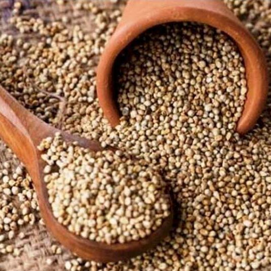Bajra exporter in Nashik Maharashtra