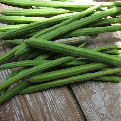 Drumsticks Exporter in Nashik