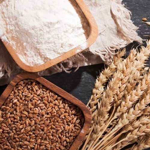 Wheat Exporter in Nashik